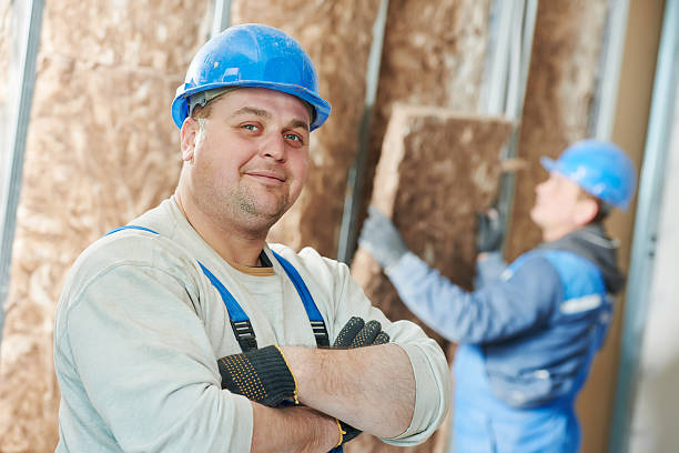 Best DIY Insulation Kits and Guidance in Dundee, MI