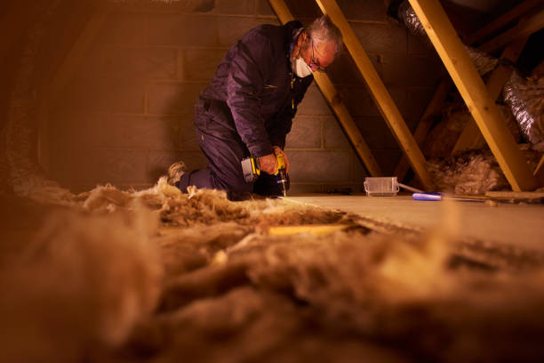 Best Insulation Maintenance and Repair in Dundee, MI